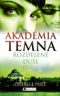 Akadémia temna 3. - Rozdelené duše